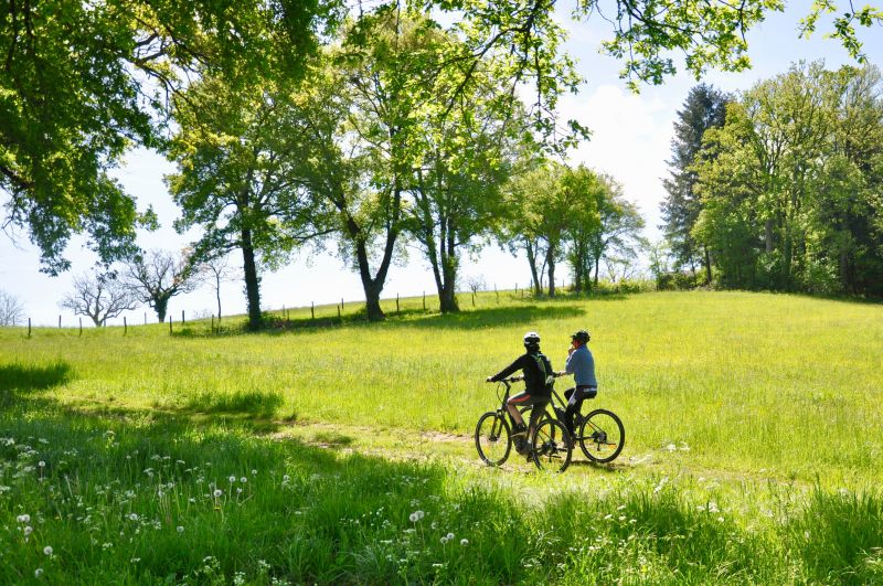 vélo verdure vigan Redim